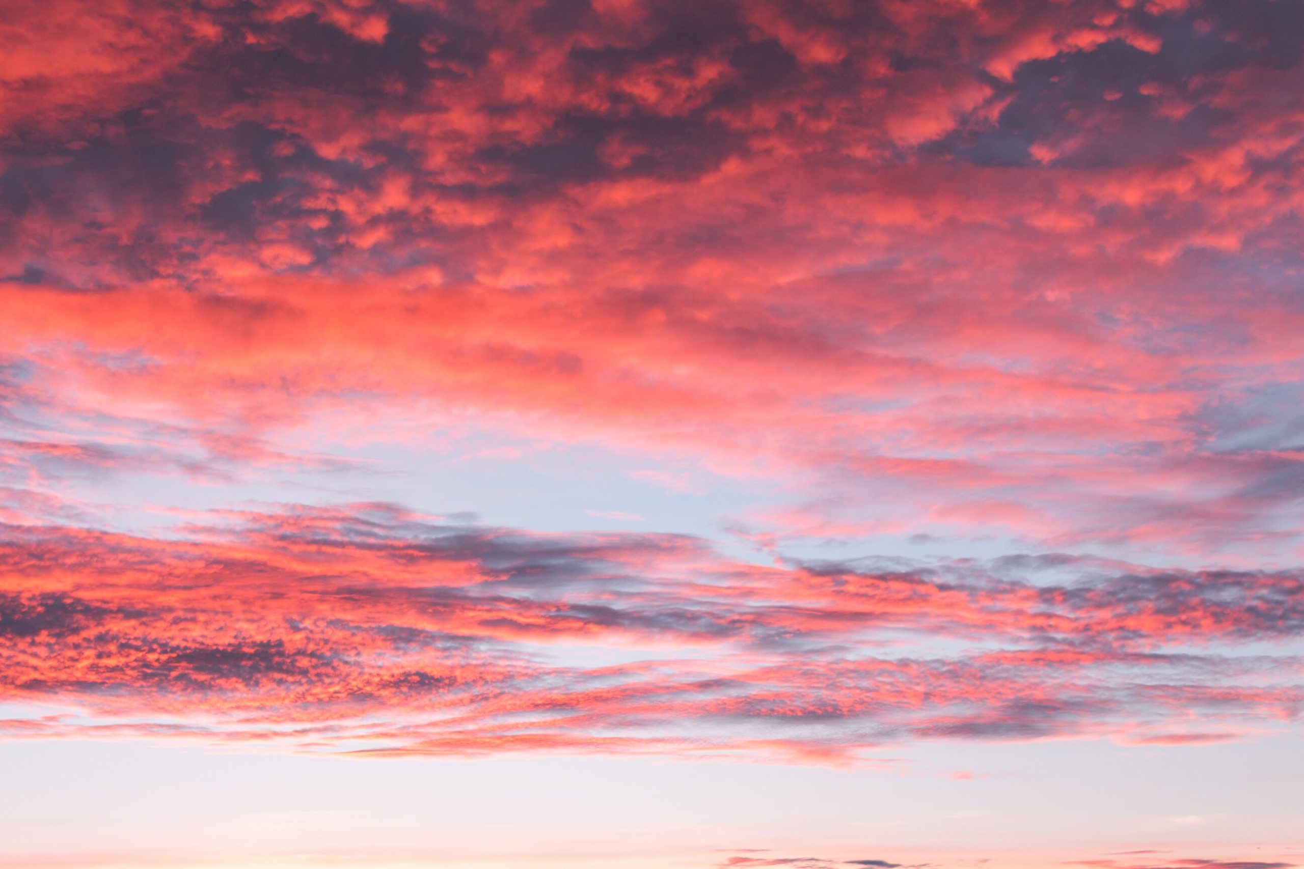 An image of a pink sunset