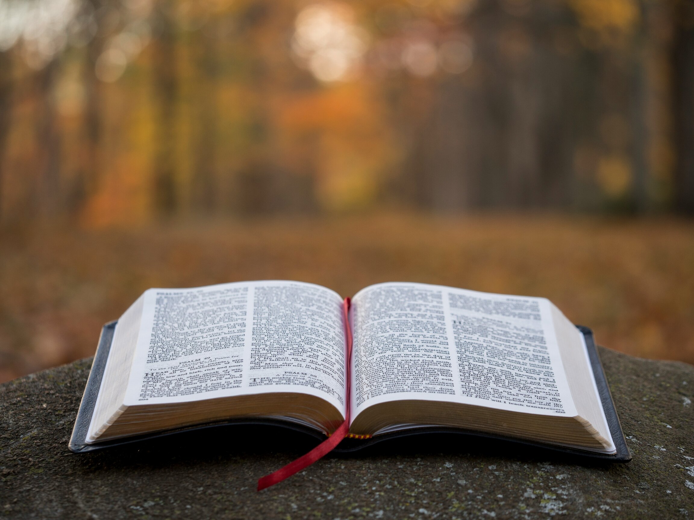 WHAT WE BELIEVE