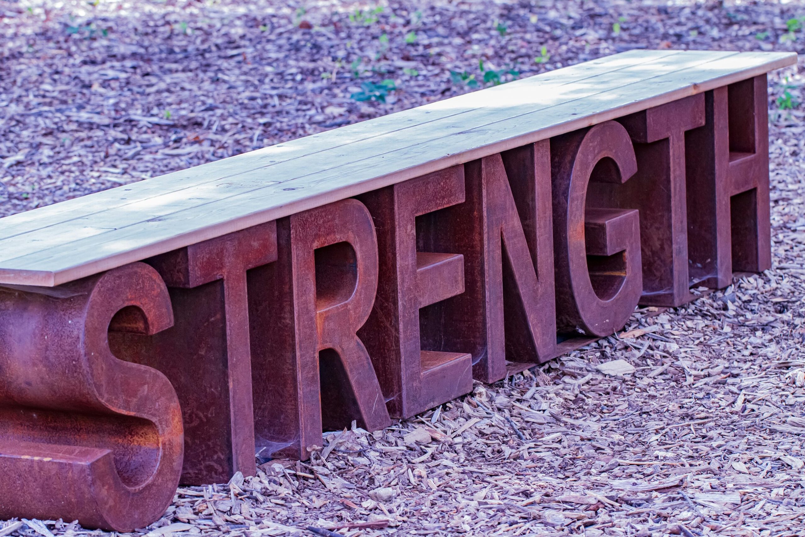 WHERE DOES OUR STRENGTH COME FROM?
