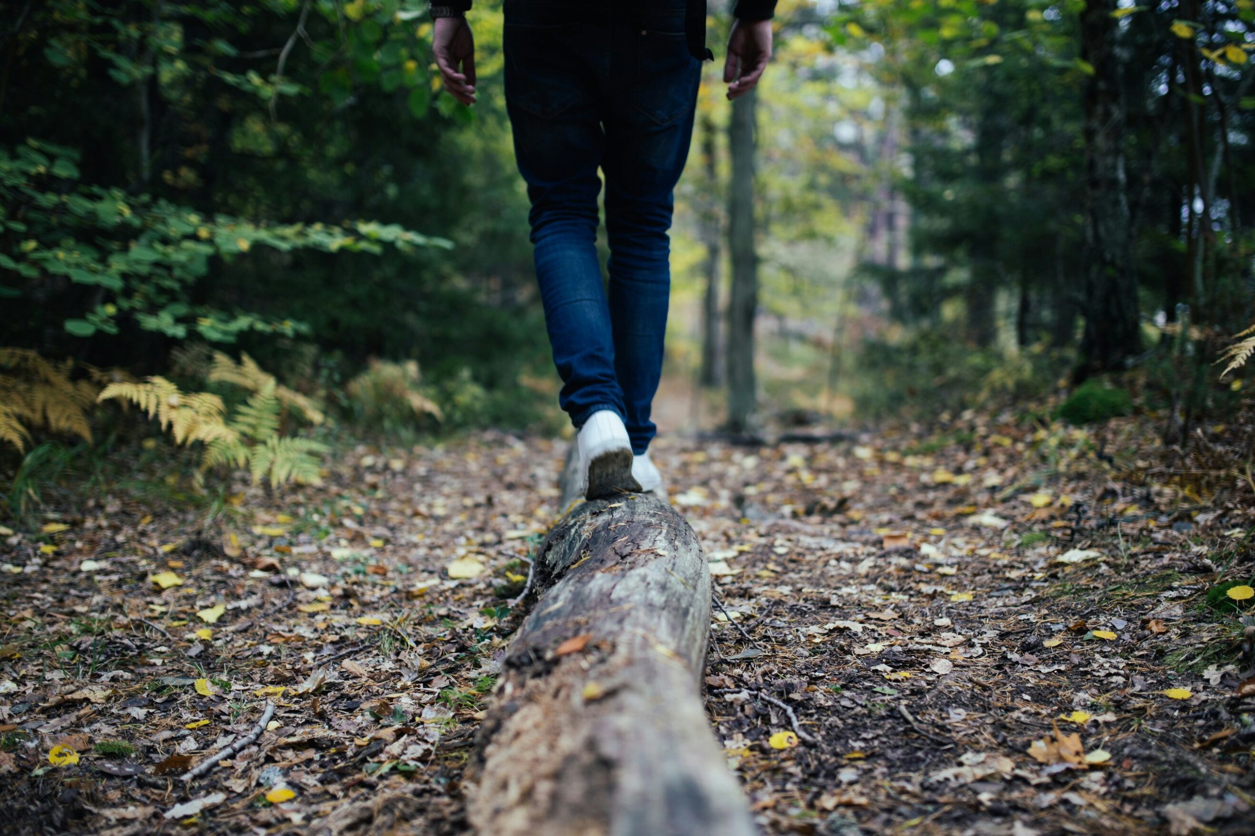 An image of a person walking in a forest